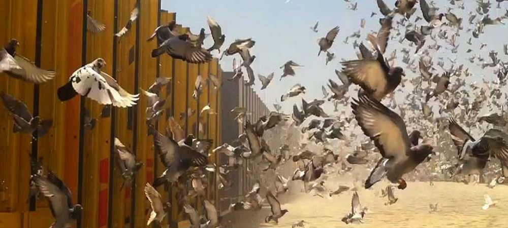 Slider 1 Diğer Yazılar